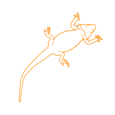 Animals Lizards Eastern Bearded Dragon Silhouette Cutting Svg Files, Free Vectors File